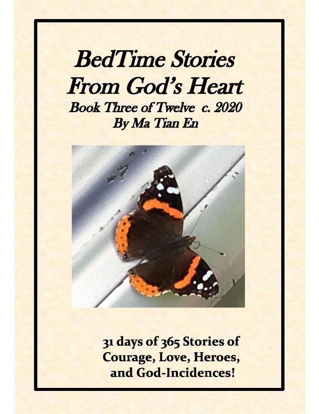 BedTime Stories From God's Heart Book 3